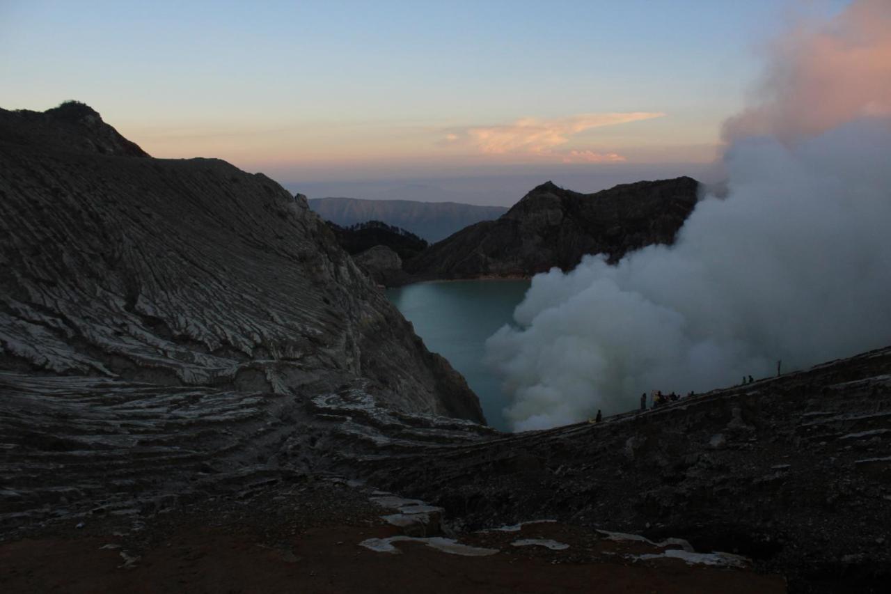 바뉴왕기 Backpacker Kawah Ijen 호스텔 외부 사진